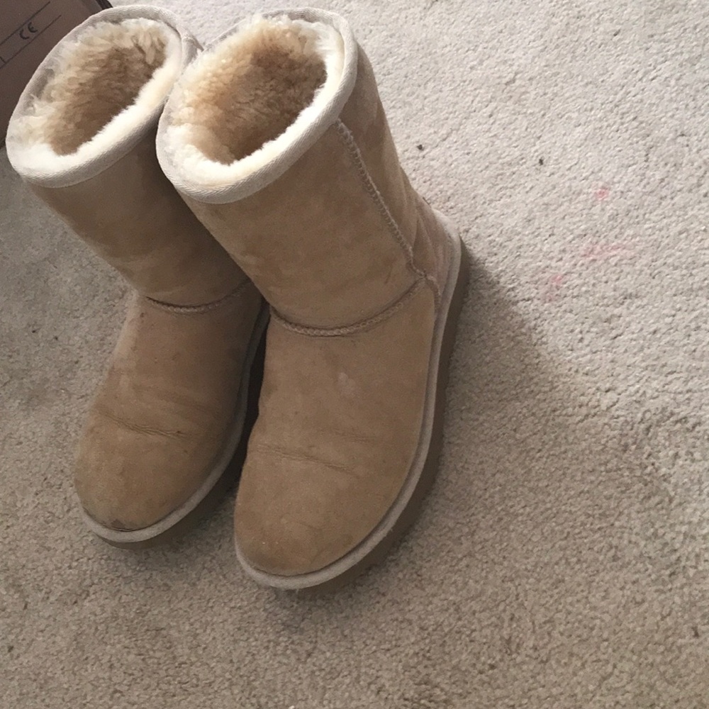 Short uggs